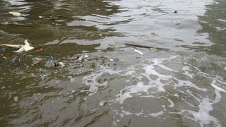 チャオプラヤー川の水