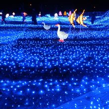 青色イルミネーションの海原です。