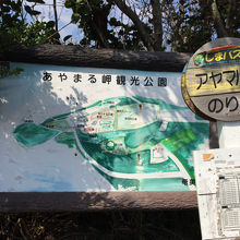 バスでも行けるようですので、レンタカーではない人は是非。