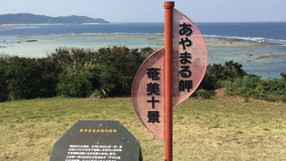 サンゴの海岸を見るには良い場所。