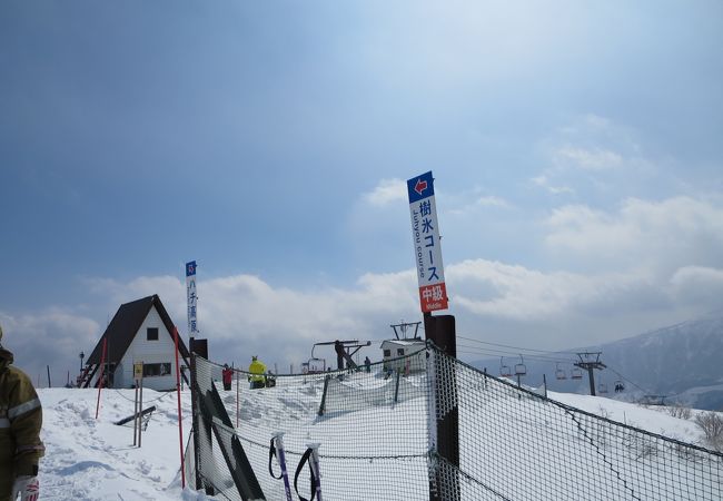 関西方面のゲレンデでは雪質最高だと思う
