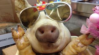 市場内にはカラフルな魚が並びます♪