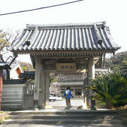 鎌倉の猫寺