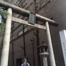 新宿の中央に鎮座し、長年見守ってくれています