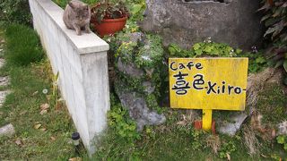 ネコがお出迎えニャン