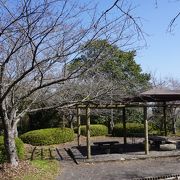 事比羅神社に登って行く細い石段を登ったら