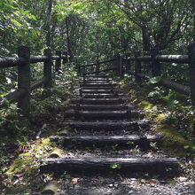 宮崎駿の映画に出てきそうな風景でした。