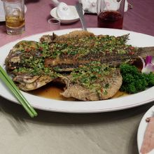 まだまだ出ます。