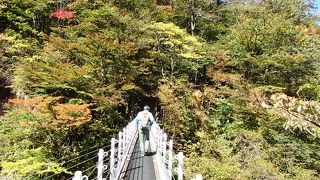 橋上から見える地獄谷の紅葉