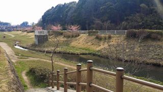 のんびりとした国土交通大臣にも表彰された自然豊かな公園