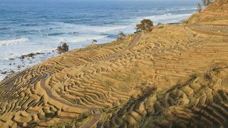 美しい夕景とライトアップに感動