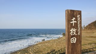 眼下に棚田と日本海の絶景