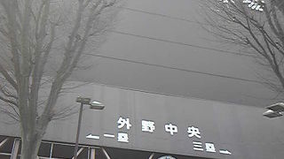 昔を懐かしんで