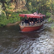 人生初のジャングルクルーズ♪