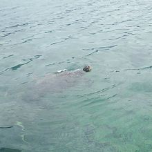 特別に連れていってもらったスポットで。