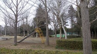 若柴公園でございます