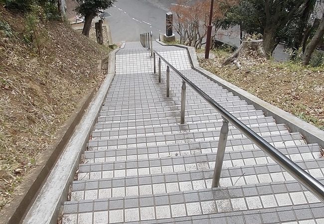 龍ヶ崎城跡でございます