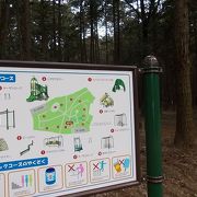 龍ヶ崎森林公園でございます