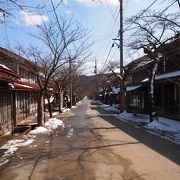 樹齢１００年の桜並木