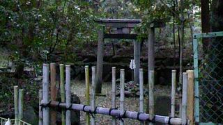 京都三珍鳥居のひとつなんですよ