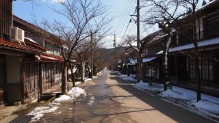 樹齢１００年の桜並木