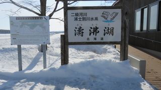 真っ白に凍った湖と白鳥、素敵な場所です