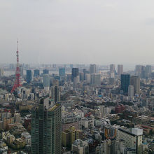 客席からの眺め。