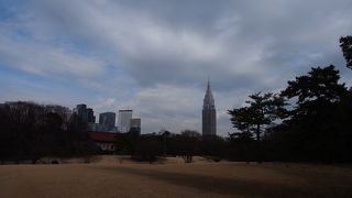 癒しのスポットです