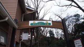 こんなところで動物とふれあいが！