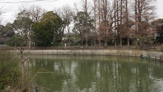 駅すぐの池のある公園