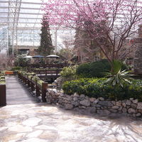 手入れが行き届いてます