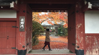 雨の紅葉も素敵でした