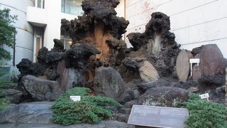 期待していたのと違ってました