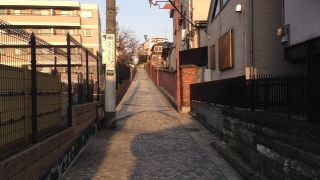 今でも富士が見えるそうです