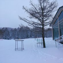 プリンスホテル西館からのゲレンデです