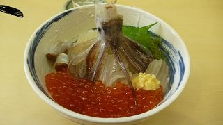 観光客向けだが鮮度の良いイカが食べられる