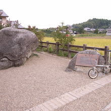 亀石と愛車トレンクル