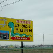 蛇と恐竜の展示