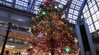 サッポロファクトリーの大きなクリスマスツリー