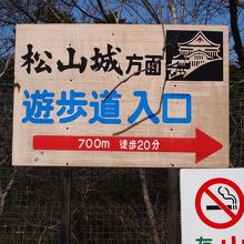 遊歩道ではなく登山道？