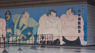 大相撲が開催されていない時期でも楽しめます