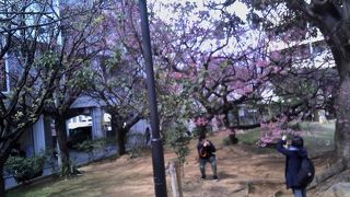 ショッピングで疲れて一休みするにはちょうどよい公園