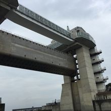 かなりの大きさで最初は何か分からなかった