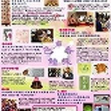 2015年度のチラシ