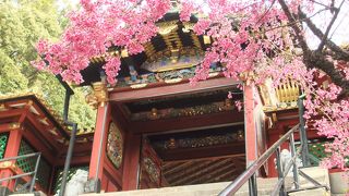 家康公を祀る、色鮮やかなお社