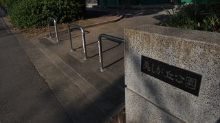 菜の花がきれいでした