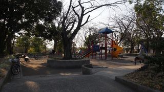 起伏のある公園です