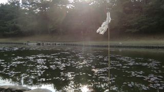 マイナスイオンで森林浴