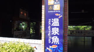 無料の足湯あります