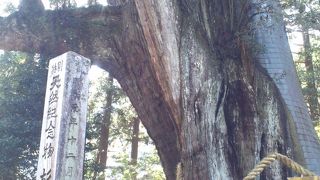 パワースポット